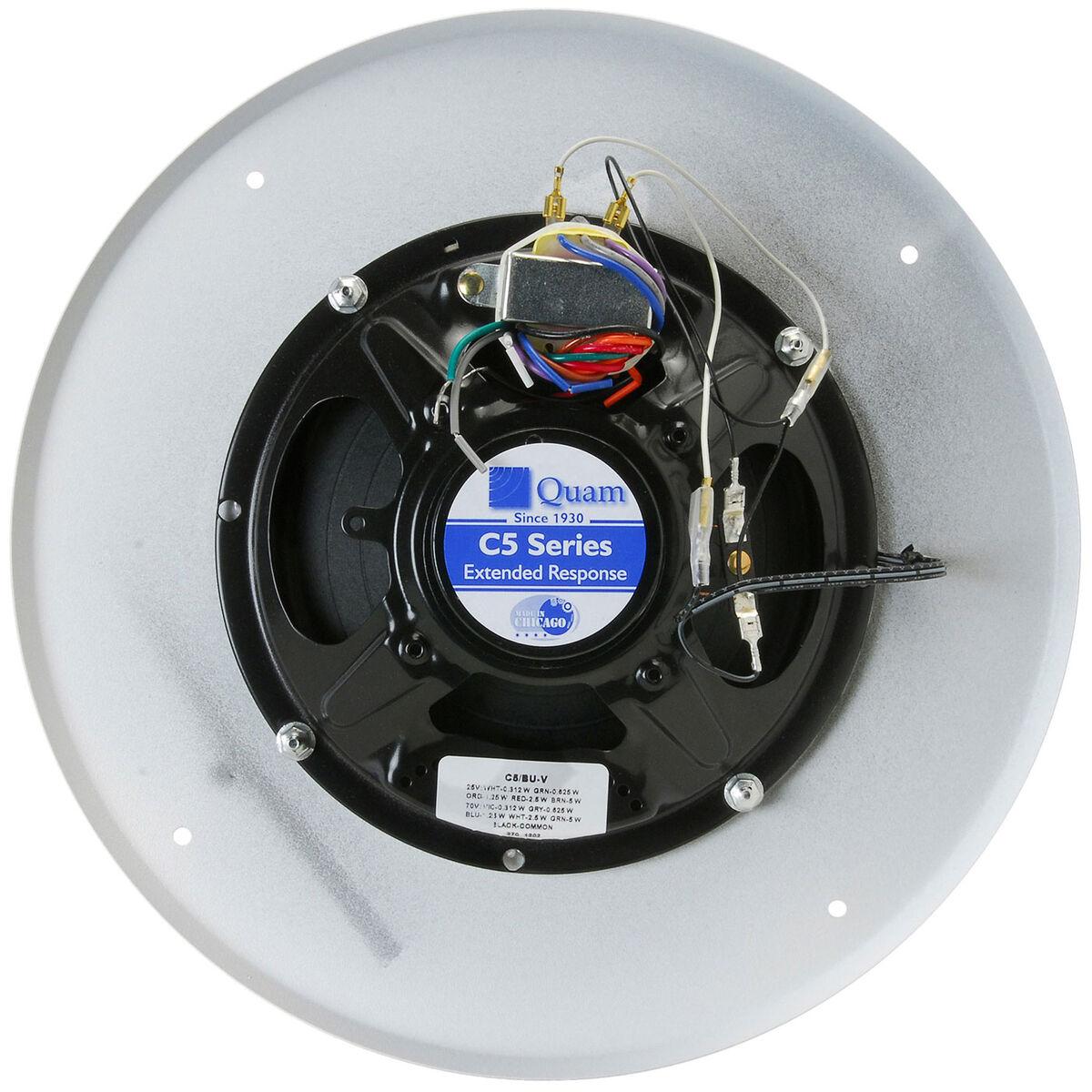 Quam shop ceiling speakers